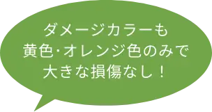 ダメージカラーも黄色･オレンジ色のみで大きな損傷なし！