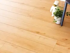 サクラ