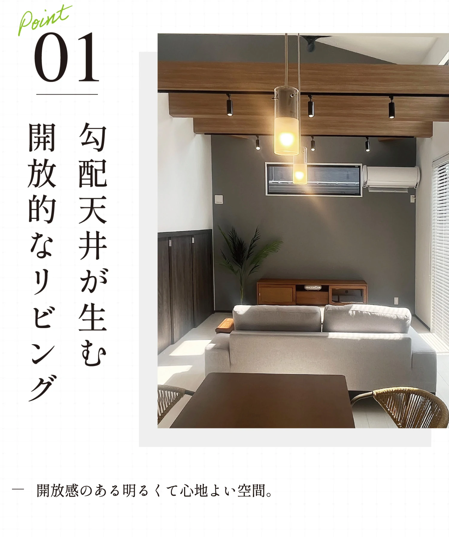 Point01 勾配天井が生む開放的なリビング