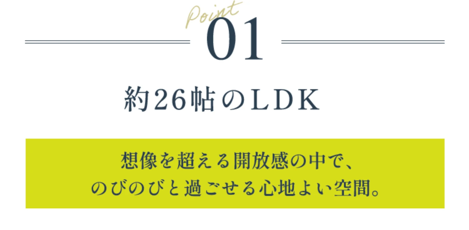 POINT01 約26帖のLDK