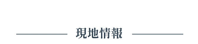 現地情報
