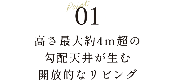 Point01高さ最大約4m超の勾配天井が生む開放的なリビング