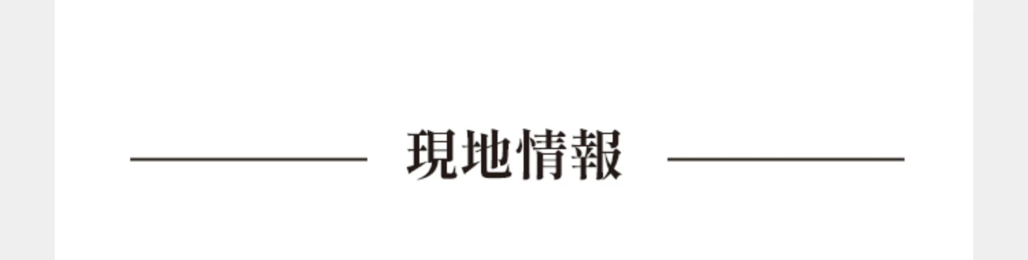 現地情報