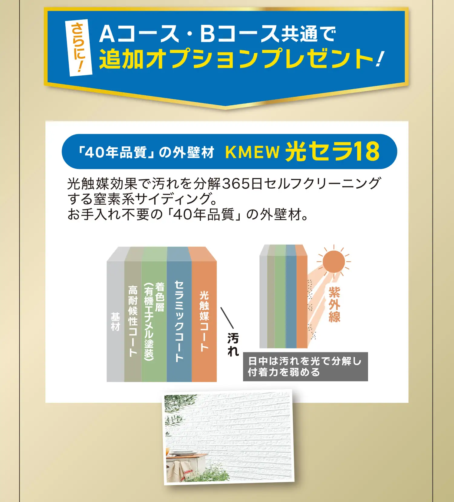 Aコース・Bコース共通で追加オプションプレゼント